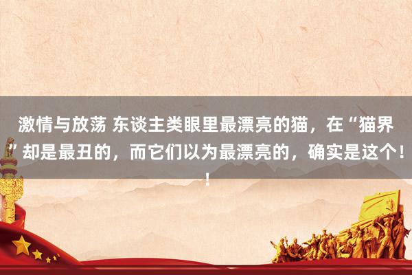 激情与放荡 东谈主类眼里最漂亮的猫，在“猫界”却是最丑的，而它们以为最漂亮的，确实是这个！