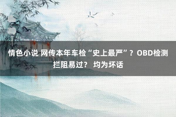情色小说 网传本年车检“史上最严”？OBD检测拦阻易过？ 均为坏话
