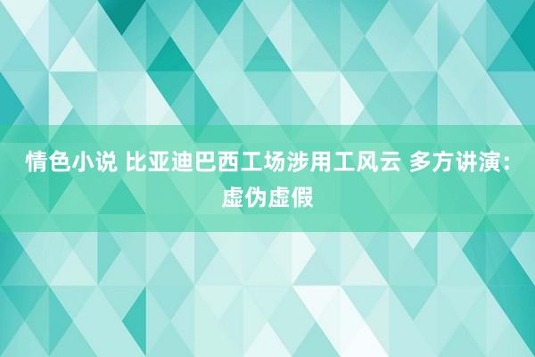 情色小说 比亚迪巴西工场涉用工风云 多方讲演：虚伪虚假
