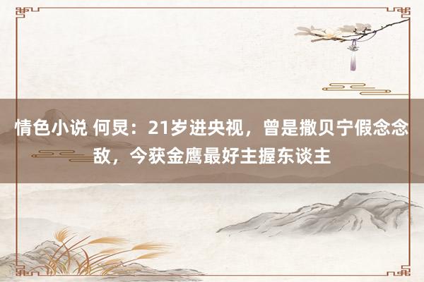 情色小说 何炅:21岁进央视,曾是撒贝宁假念念敌,今获金鹰最好主握东谈主
