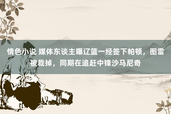 情色小说 媒体东谈主曝辽篮一经签下帕顿，图雷被裁掉，同期在追赶中锋沙马尼奇