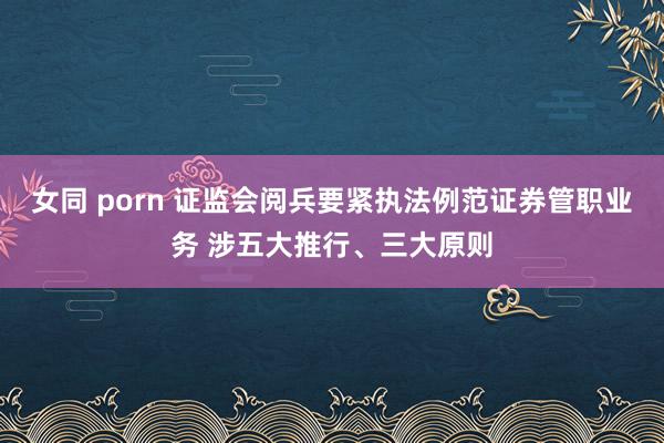 女同 porn 证监会阅兵要紧执法例范证券管职业务 涉五大推行、三大原则