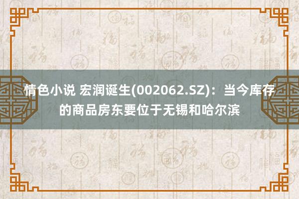 情色小说 宏润诞生(002062.SZ)：当今库存的商品房东要位于无锡和哈尔滨