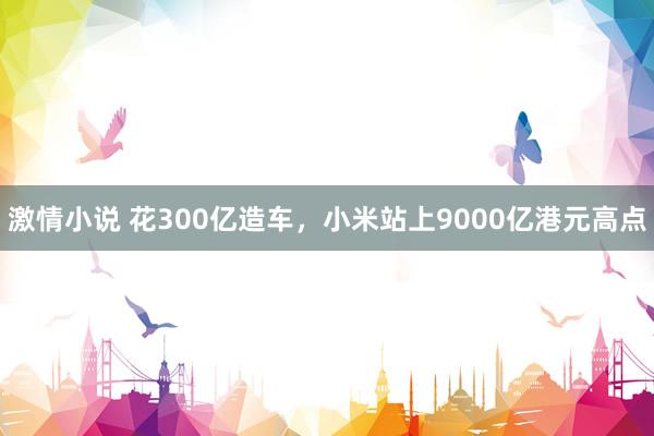激情小说 花300亿造车，小米站上9000亿港元高点