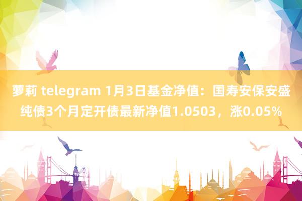 萝莉 telegram 1月3日基金净值：国寿安保安盛纯债3个月定开债最新净值1.0503，涨0.05%