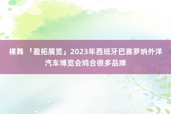 裸舞 「盈拓展览」2023年西班牙巴赛罗纳外洋汽车博览会鸠合很多品牌