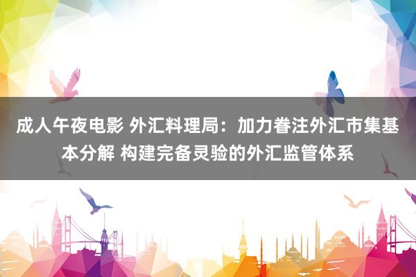 成人午夜电影 外汇料理局：加力眷注外汇市集基本分解 构建完备灵验的外汇监管体系